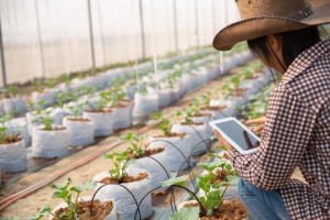 Gestión de Recursos Hídricos y Agronáutica